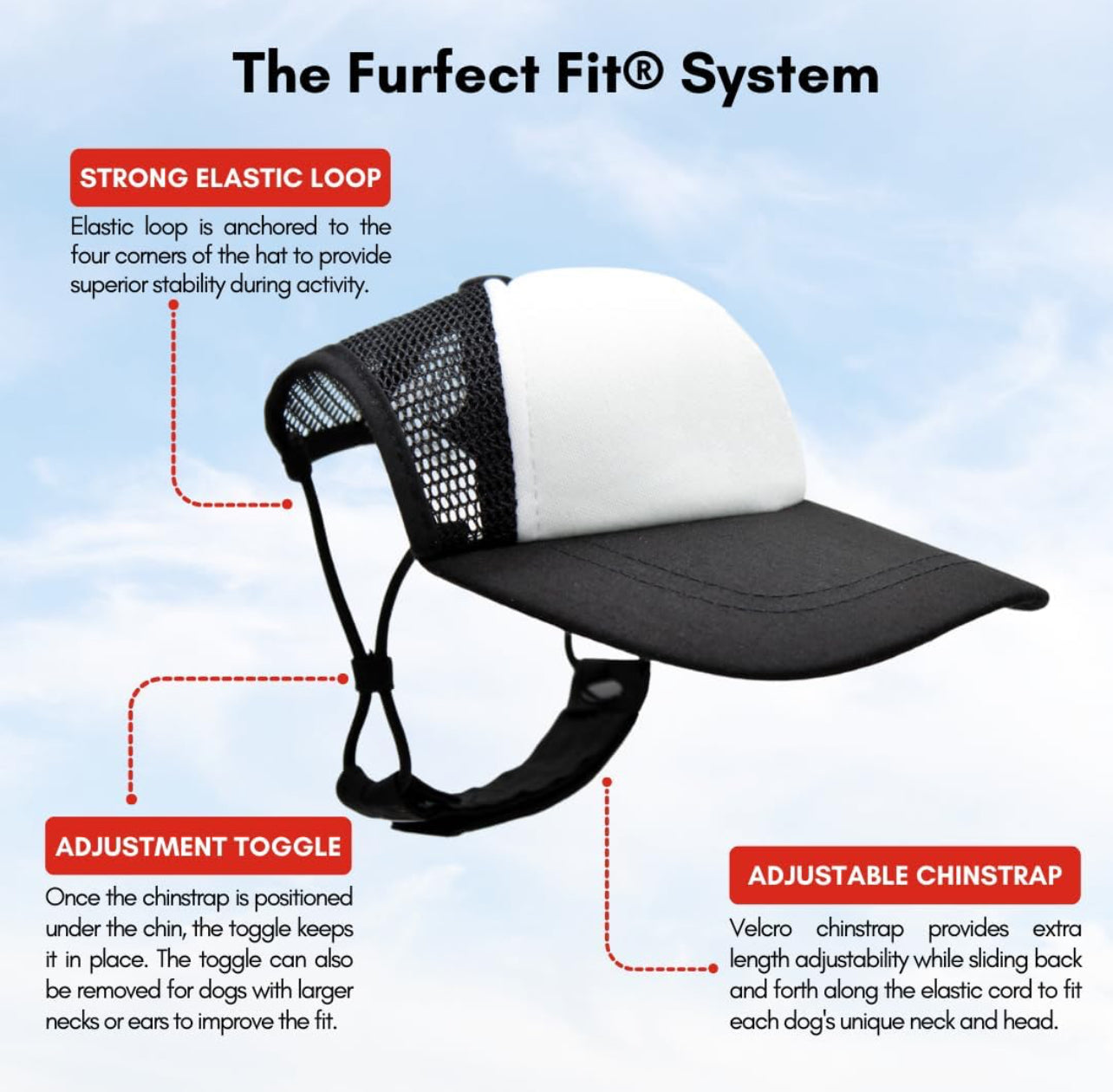 Trucker Stumpy Bean Coffee Dog Hats