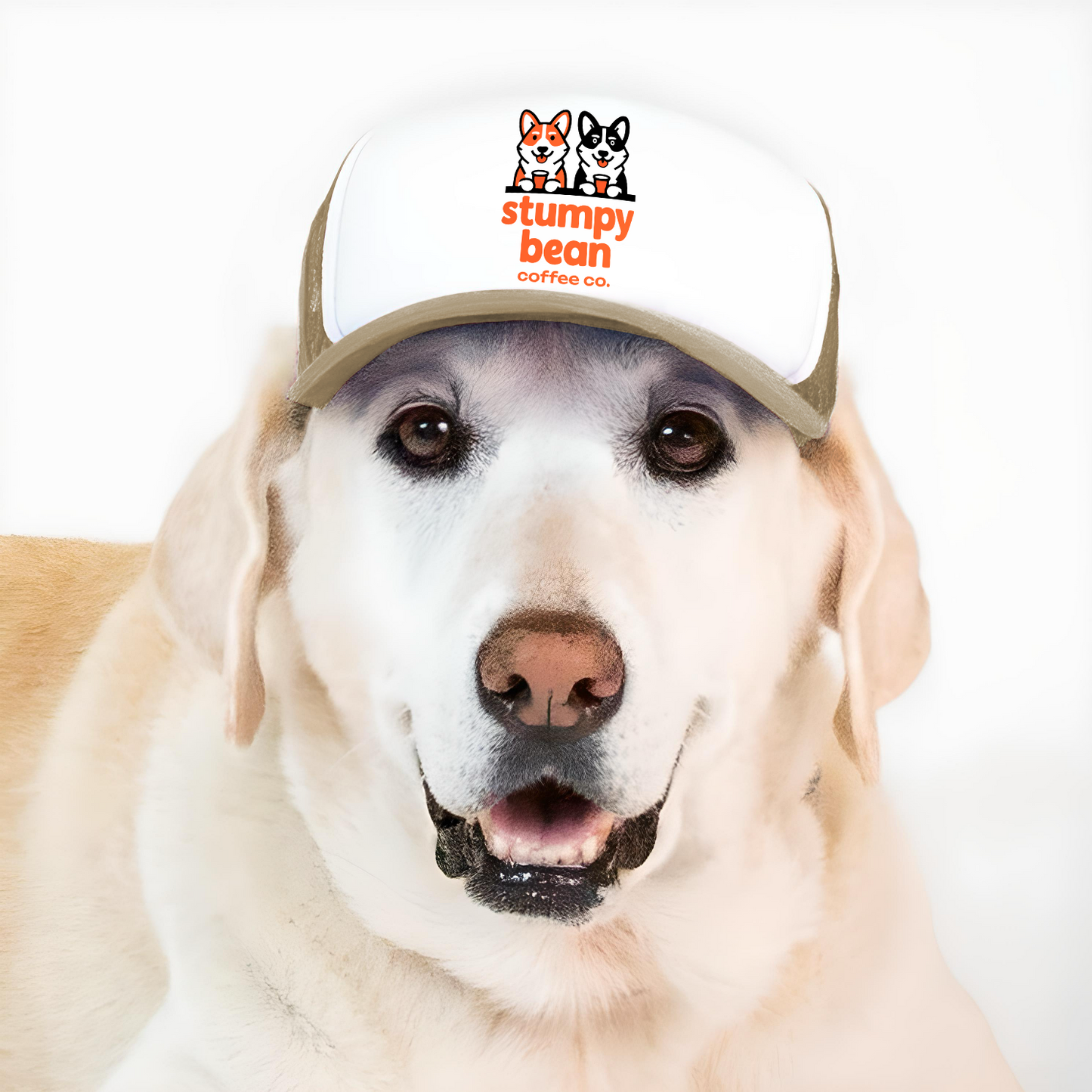 Trucker Stumpy Bean Coffee Dog Hats