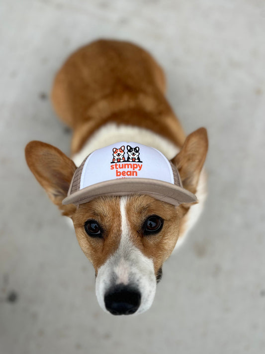 Trucker Stumpy Bean Coffee Dog Hats