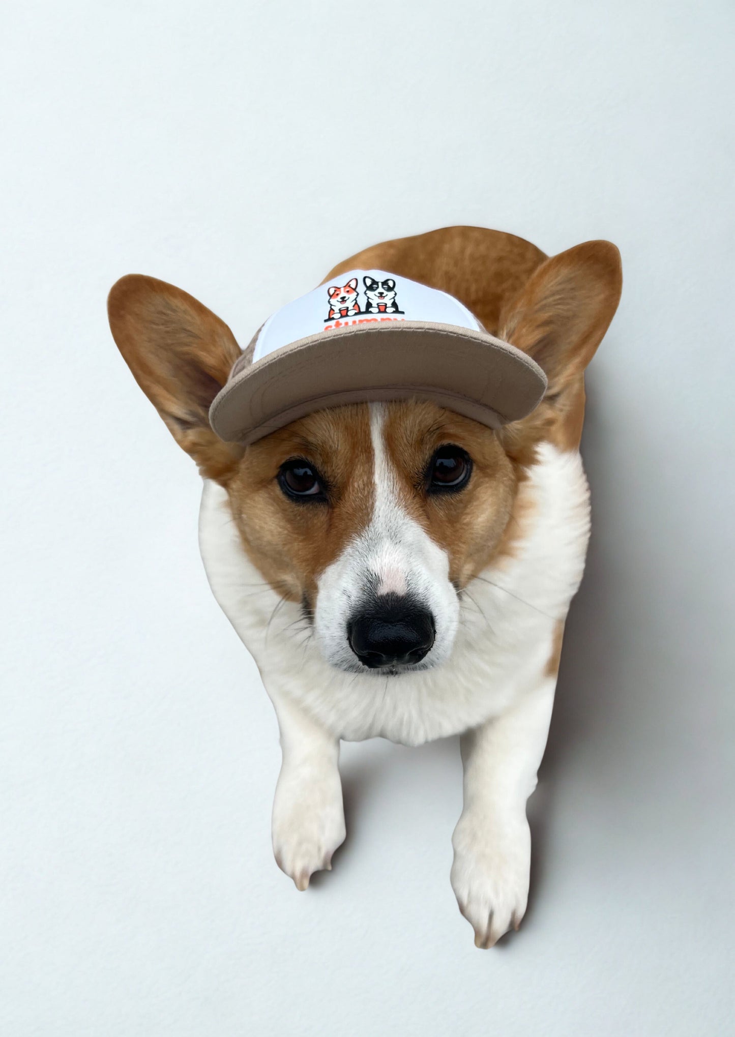 Trucker Stumpy Bean Coffee Dog Hats